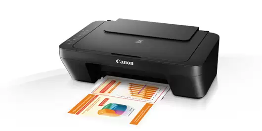 Canon PIXMA MG2545S